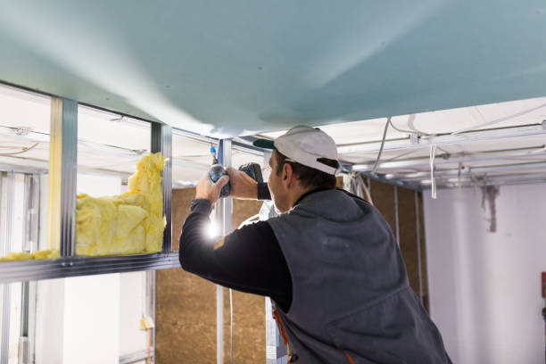 Best Professional Insulation Contractor  in Cannon Falls, MN