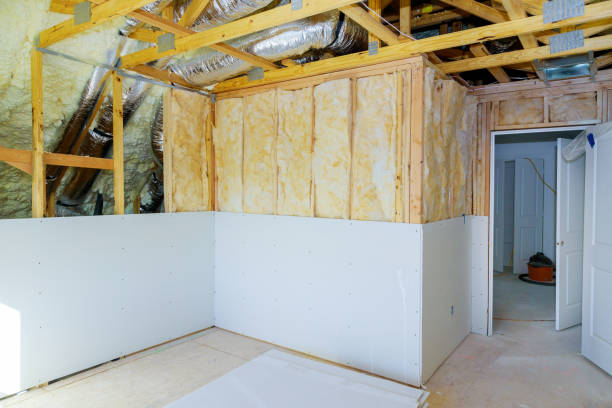 Best Attic Insulation Installation  in Cannon Falls, MN