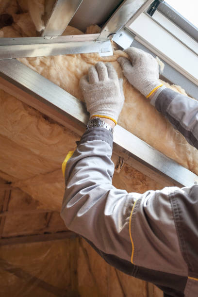 Best Blown-in Insulation  in Cannon Falls, MN