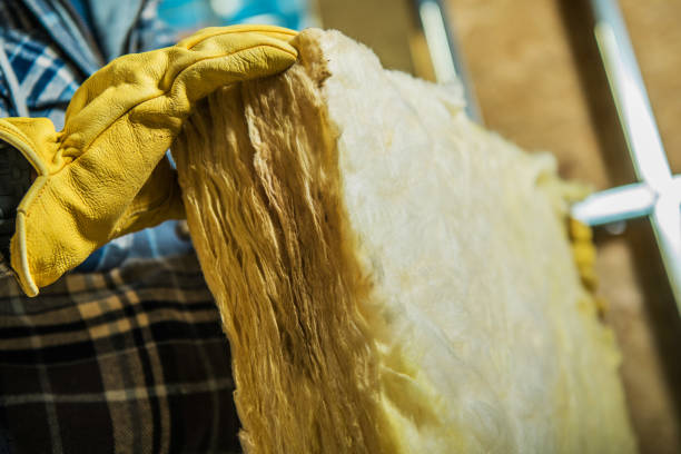 Best Crawl Space Insulation  in Cannon Falls, MN
