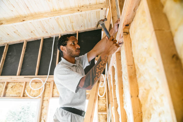 Best Insulation for New Construction  in Cannon Falls, MN