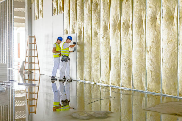 Best Fiberglass Insulation  in Cannon Falls, MN